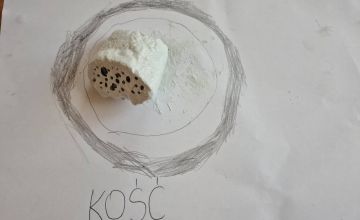Malowanie kamieni, czyli kreatywna zabawa plastyczna w II B