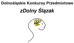 Finalista konkursu zDolny Ślązak z informatyki