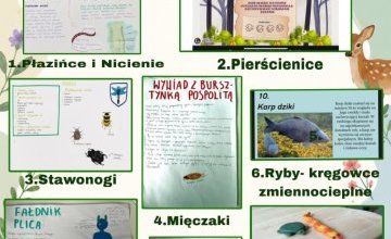 Działalność Koła Biologicznego w roku szkolnym 2025/2026
