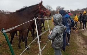 Wycieczka VI B (8)