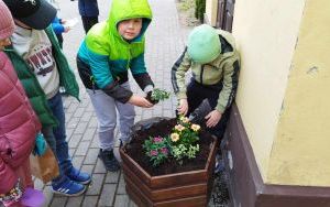 Klasa 2 A sadzi kwiaty (6)