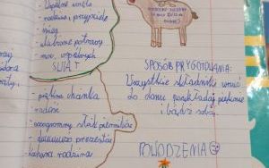 Język polski inaczej (13)