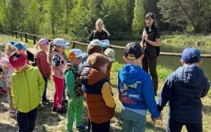 Leśna przygoda przedszkolaków (3)