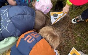 Leśna przygoda przedszkolaków (4)