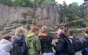 Wycieczka klas piątych do wrocławskiego ZOO. (2)