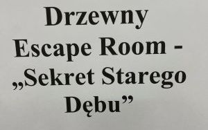 Dzień drzewa (4)