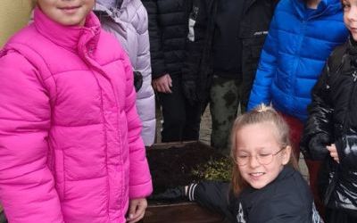 Jesienne sadzenie wrzosów w naszej szkole! (3)