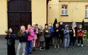 Jesienne sadzenie wrzosów w naszej szkole! (8)