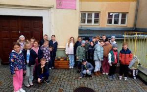 Jesienne sadzenie wrzosów w naszej szkole! (7)