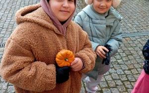 Jesienne sadzenie wrzosów w naszej szkole! (4)
