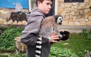 W krainie Lemura i nie tylko. (12)