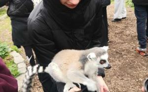 W krainie Lemura i nie tylko. (9)
