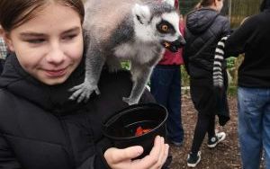 W krainie Lemura i nie tylko. (10)
