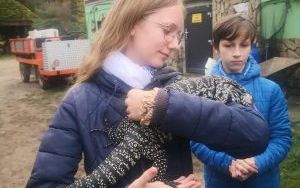 W krainie Lemura i nie tylko. (6)