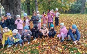 Jesienny spacer pełen odkryć klas 2 (6)