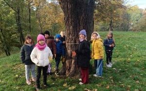 Jesienny spacer pełen odkryć klas 2 (2)