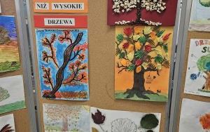 Konkurs plastyczny Cóż jest piękniejszego niż wysokie drzewa (6)