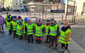 Spacer najmłodszych grup przedszkolnych po Oleśnicy (10)