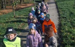 Spacer najmłodszych grup przedszkolnych po Oleśnicy (3)