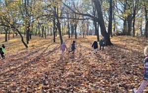 Spacer najmłodszych grup przedszkolnych po Oleśnicy (2)