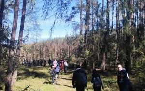 Lekcja przyrody w terenie (5)