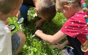 Dzień Pustej Klasy w grupie Żabki (8)