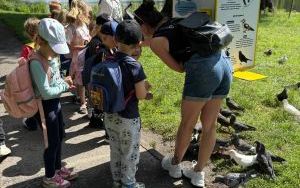 Dzień Pustej Klasy w grupie Żabki (9)