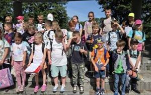 Nauka pierwszych klas poszła w las (3)
