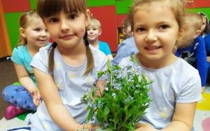 Dzień Polskiej Niezapominajki w przedszkolu (6)